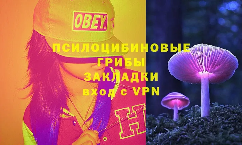 Псилоцибиновые грибы Magic Shrooms  Майкоп 